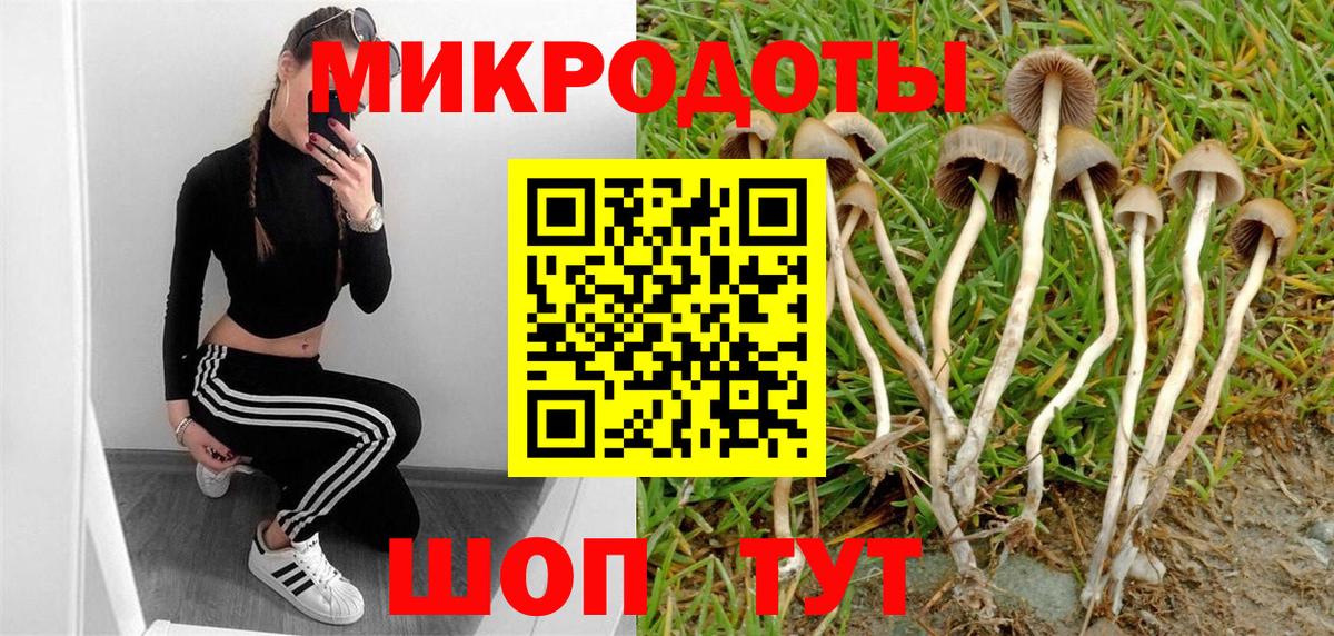 Галлюциногенные грибы MAGIC MUSHROOMS  Галлюциногенные грибы мухоморы  Вход с VPN  Якутск 