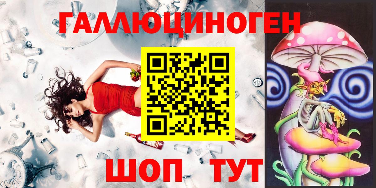 Галлюциногенные грибы Psilocybe Якутск